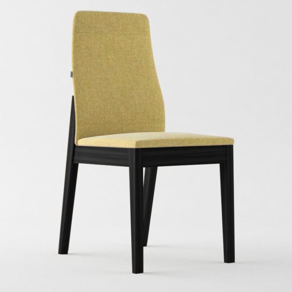 Silla Litoral
