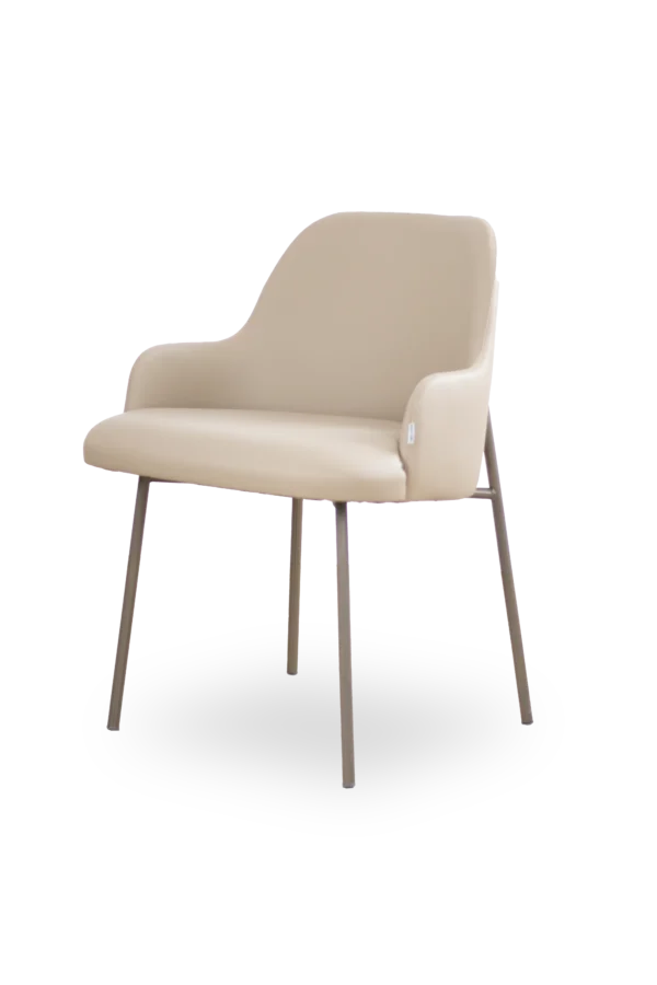 Silla Trelew 2
